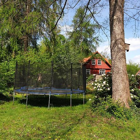Villa Altes Forsthaus Laubusch Lauta Exterior foto